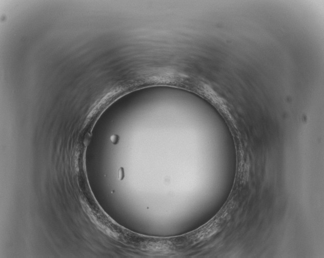 X0000086910106200704231228