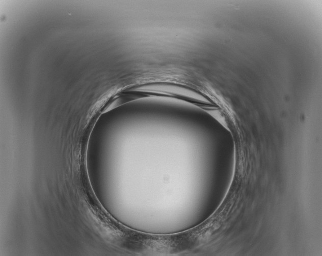 X0000086910107200704231228