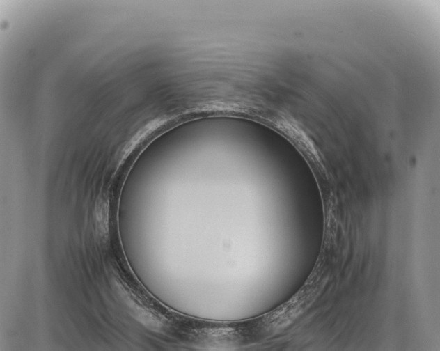 X0000086910108200704231228