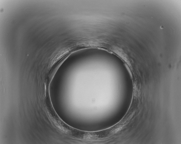 X0000086910109200704231228