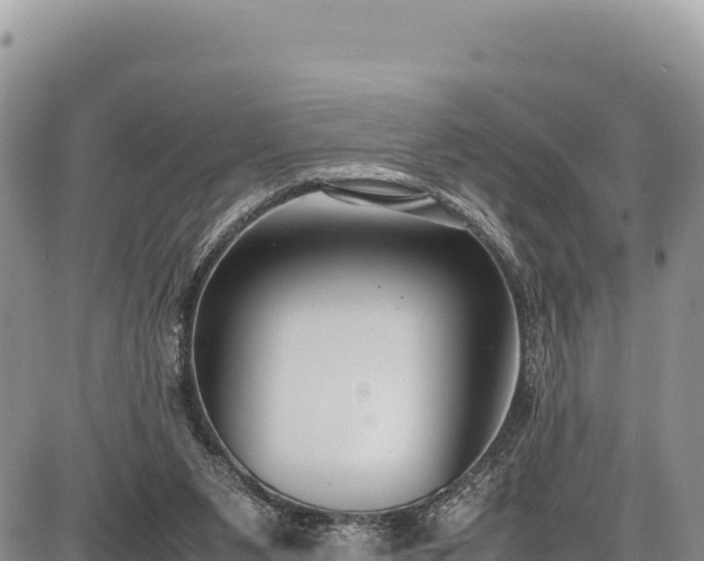 X0000086910111200704231228