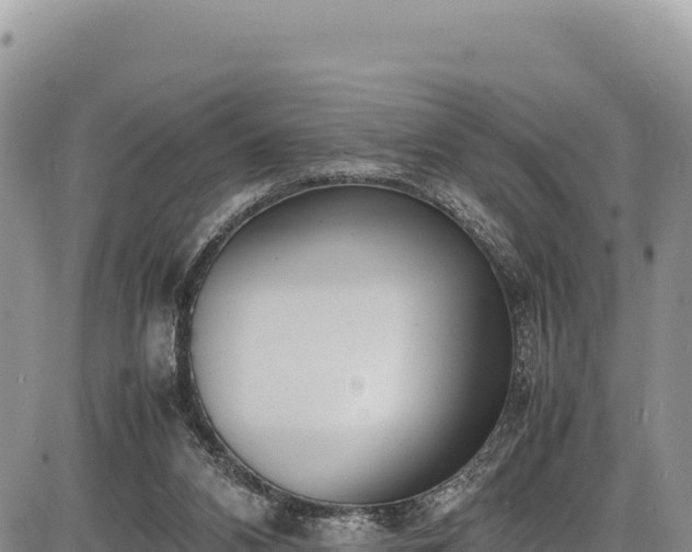 X0000086910112200704231228