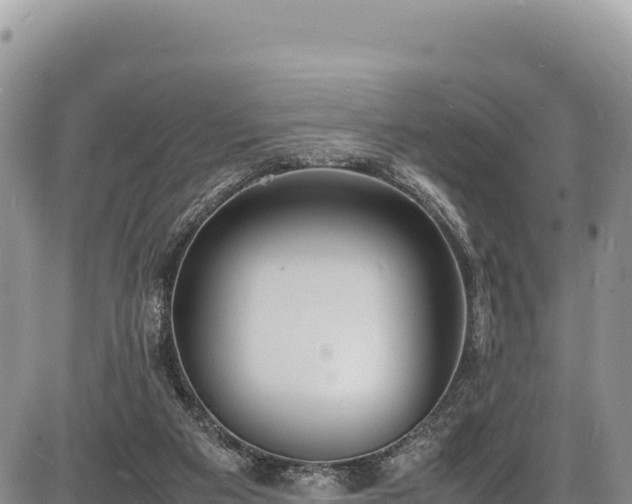 X0000086910113200704231228