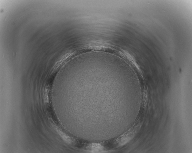 X0000086910114200704231228