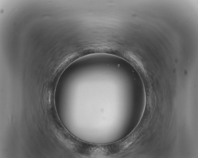 X0000086910115200704231228