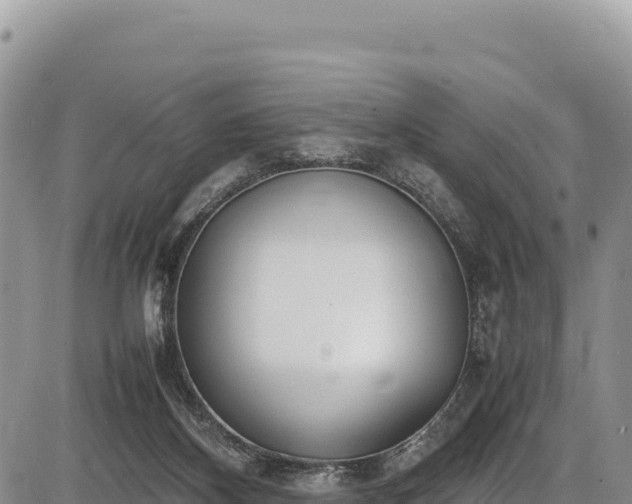 X0000086910116200704231228