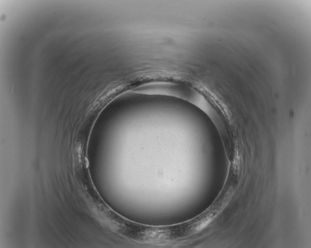 X0000086910117200704231228