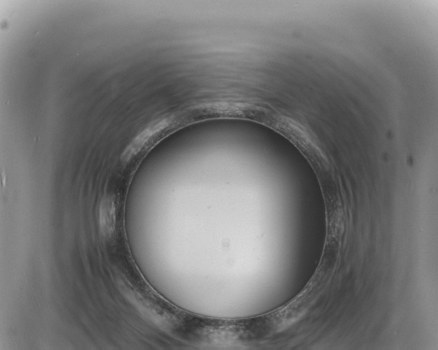 X0000086910120200704231228