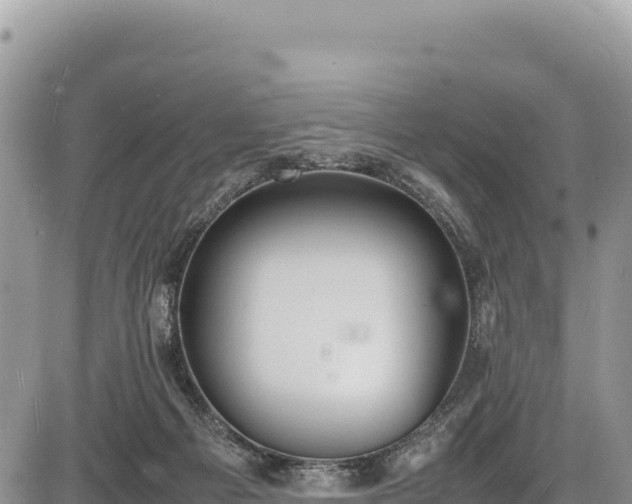 X0000086910121200704231228