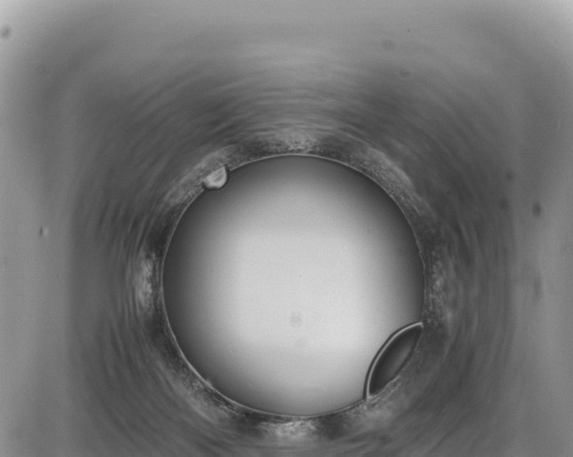 X0000086910122200704231228