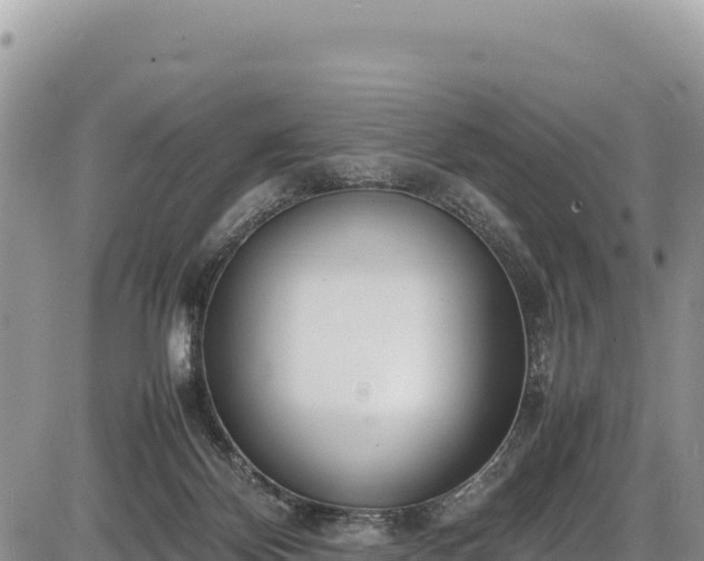 X0000086910124200704231228