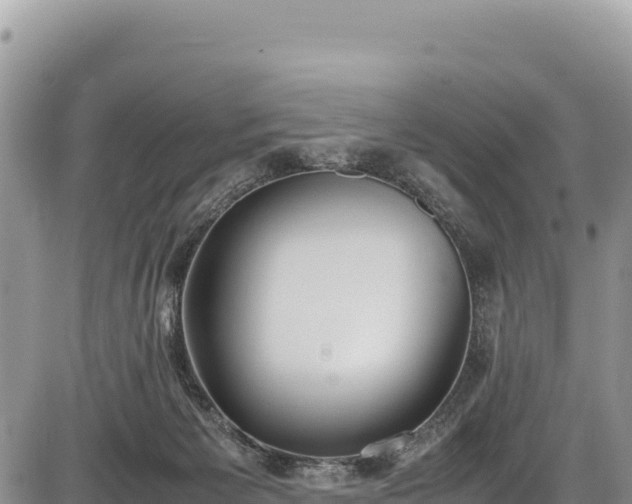 X0000086910125200704231228