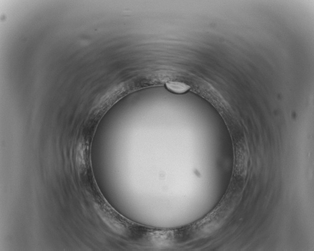 X0000086910126200704231228