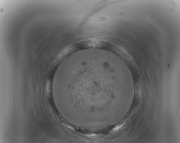 X0000086910127200704231228