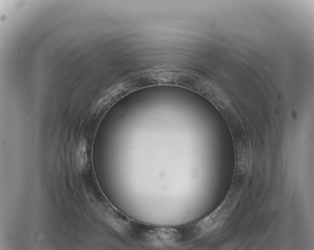 X0000086910128200704231228