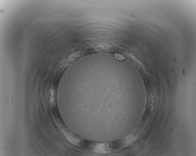 X0000086910130200704231228