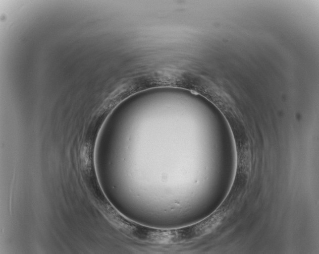 X0000086910131200704231228