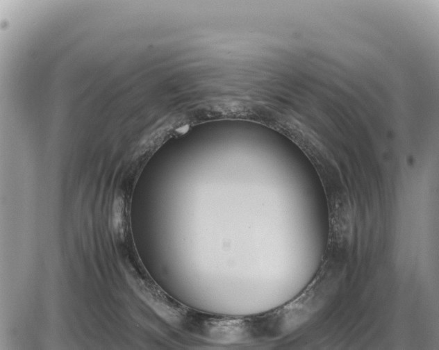 X0000086910132200704231228