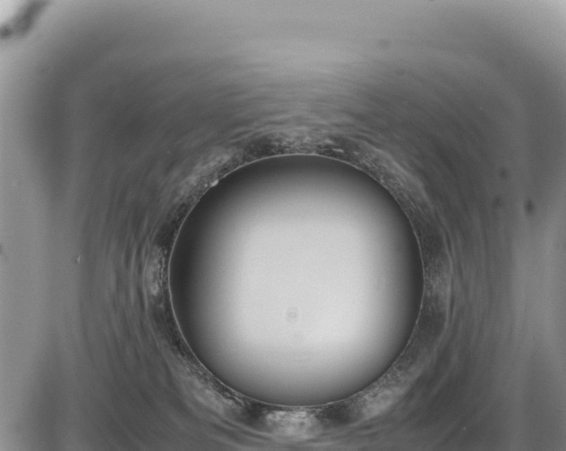 X0000086910133200704231228