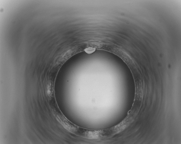 X0000086910134200704231228