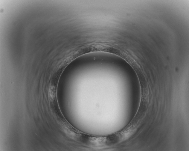 X0000086910135200704231228