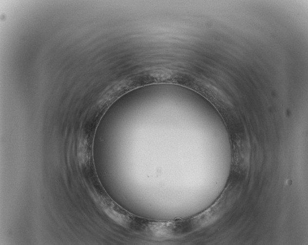 X0000086910136200704231228