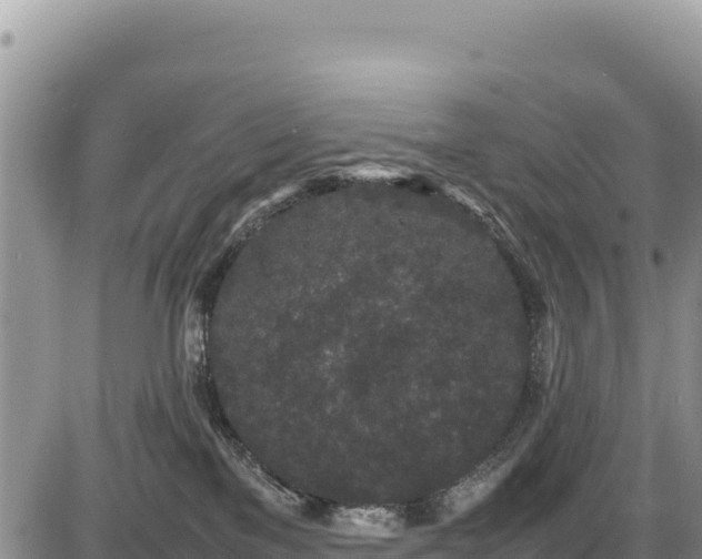 X0000086910137200704231228