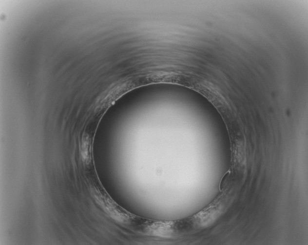 X0000086910138200704231228