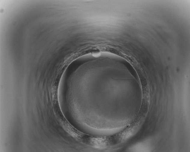 X0000086910139200704231228