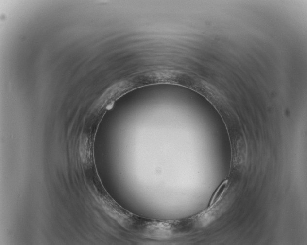 X0000086910140200704231228