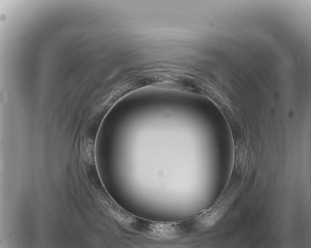 X0000086910141200704231228