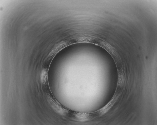 X0000086910142200704231228