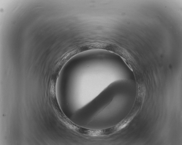 X0000086910143200704231228