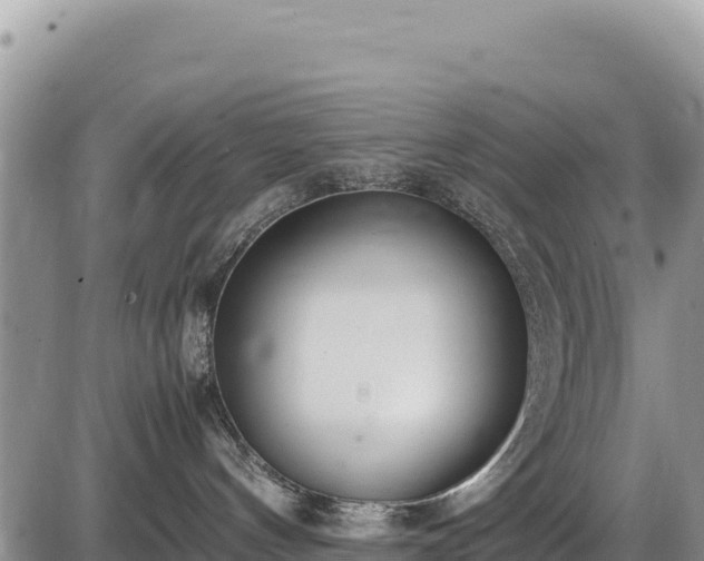 X0000086910144200704231228