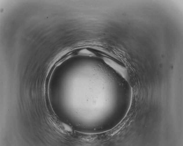 X0000086910148200704231227