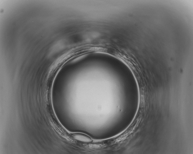 X0000086910149200704231227