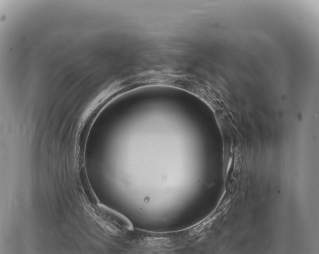 X0000086910150200704231227