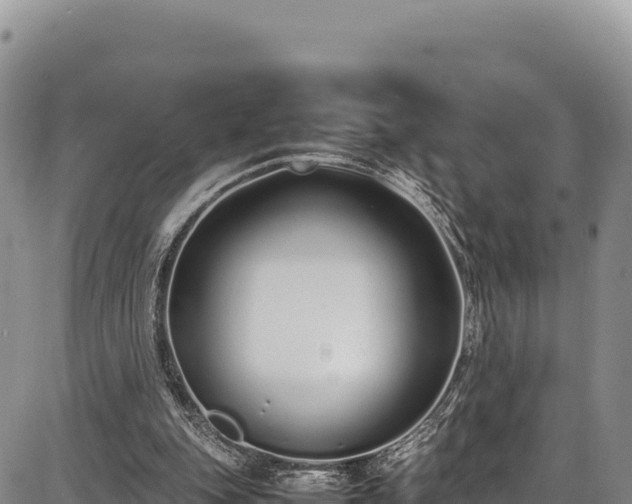 X0000086910151200704231227