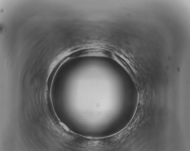 X0000086910152200704231227