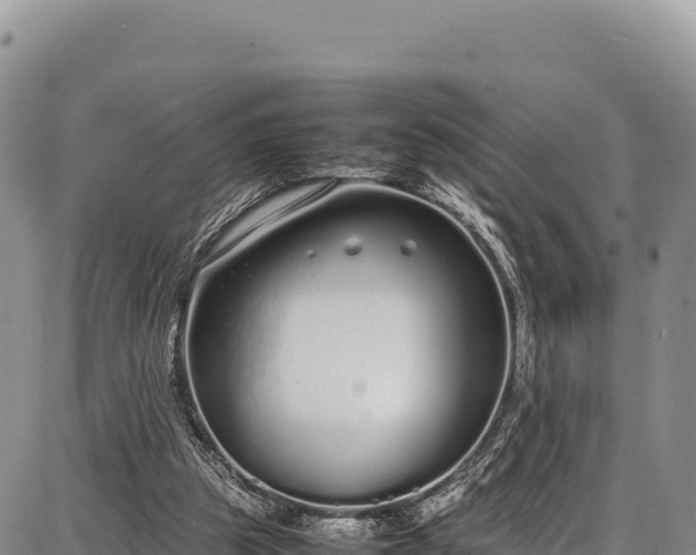 X0000086910153200704231227