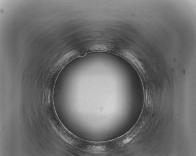 X0000086910157200704231227