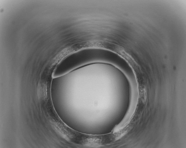 X0000086910158200704231227