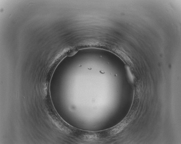 X0000086910160200704231227