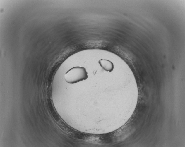 X0000086910162200704231227