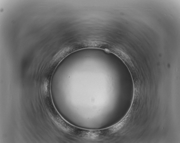 X0000086910166200704231227