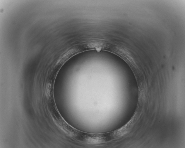 X0000086910171200704231227