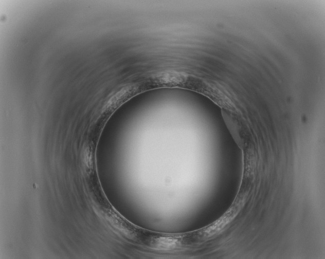 X0000086910176200704231227