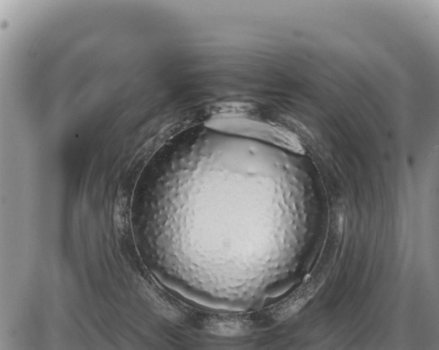 X0000086910181200704231227