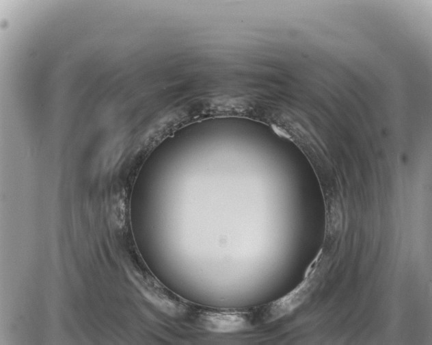 X0000086910183200704231227