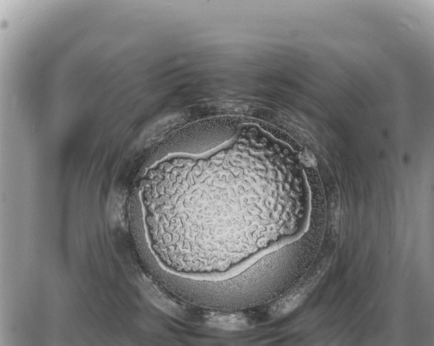 X0000086910185200704231227